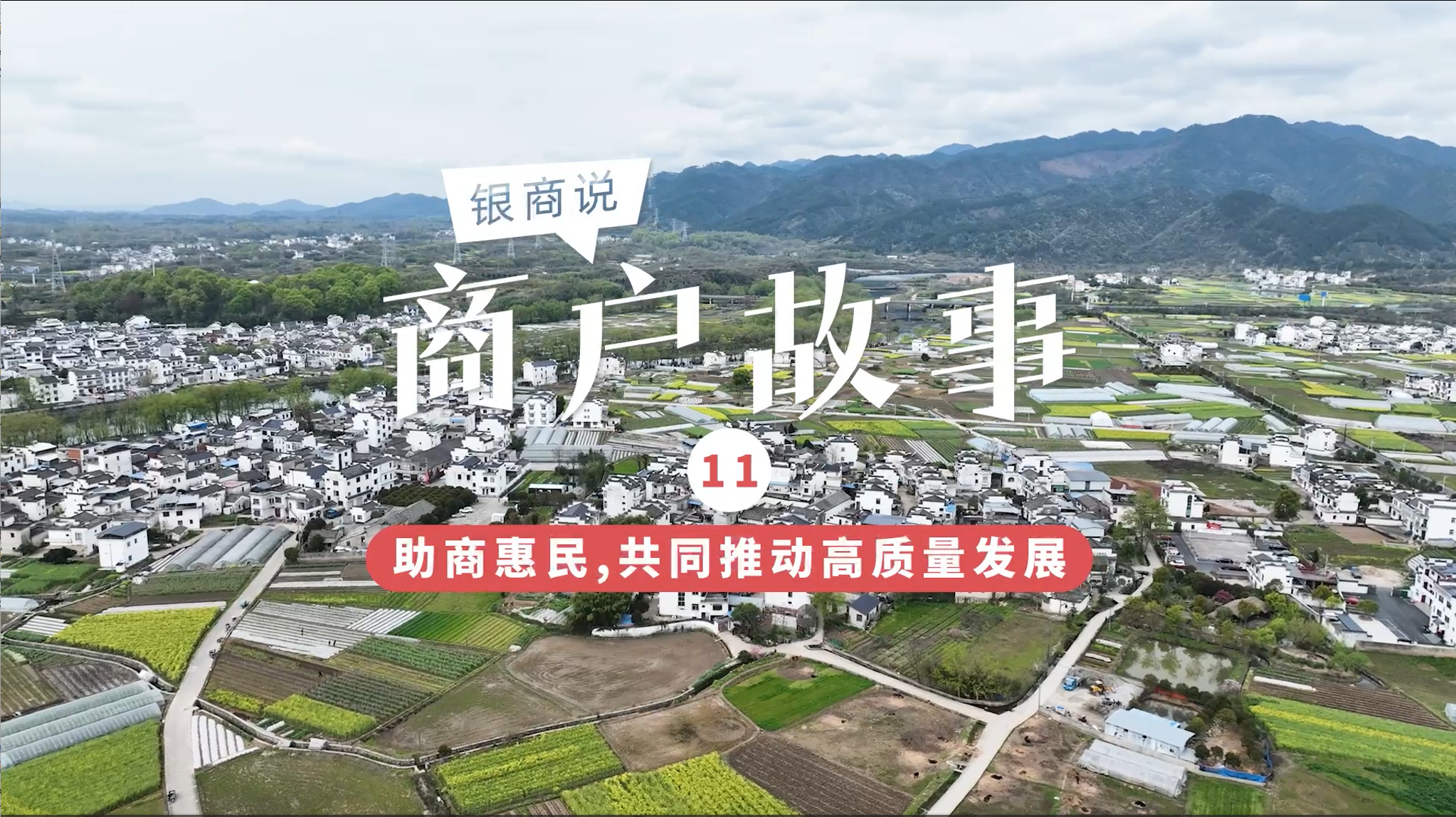365钱包